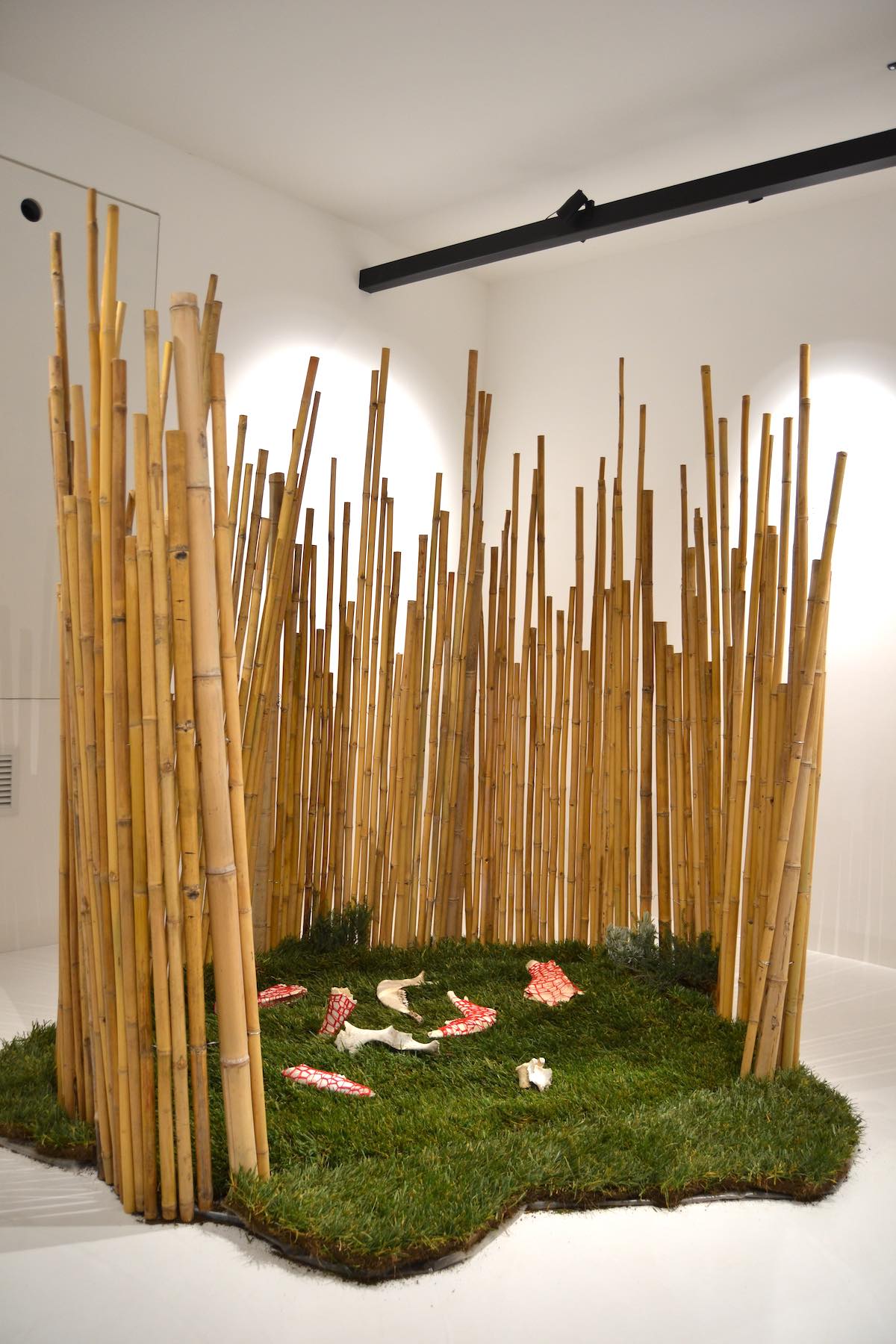 Installation art with bamboo