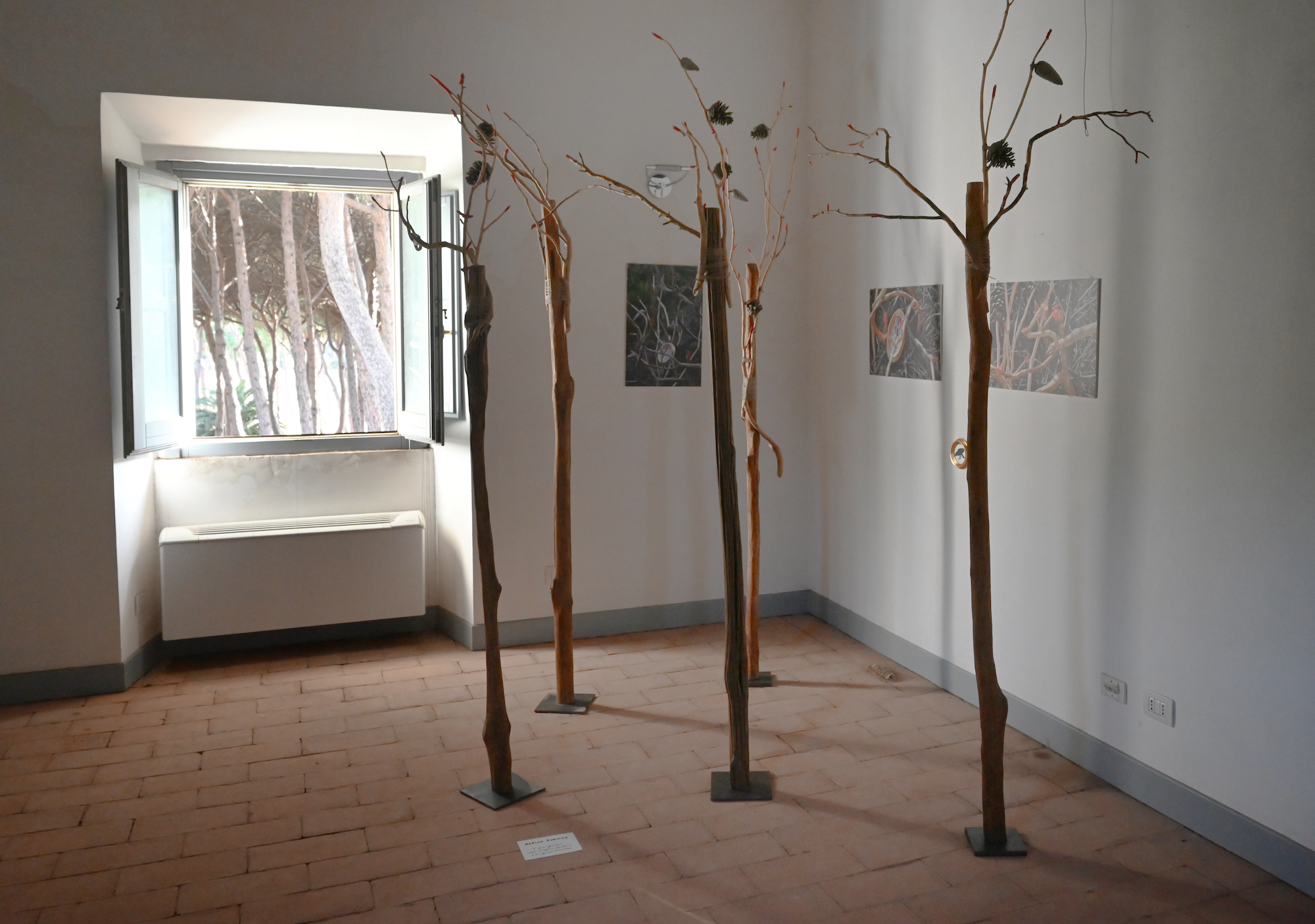 Installationart, trees of consciousness